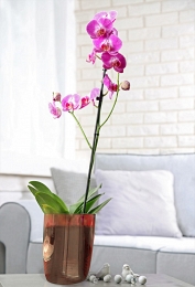 Orchid pot "Mia" 2,1 L, thunder sky